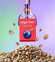 High-THC Bundle #3