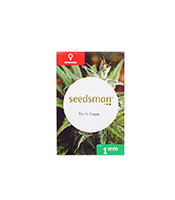 Candy Cream (Seedsman Seeds)