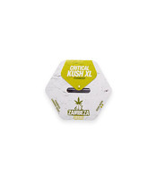 Graines de cannabis Power Kush (Critical Kush XL) (Zambeza Seeds)