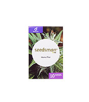 Graines de cannabis Mama Thai regular (Seedsman seeds)