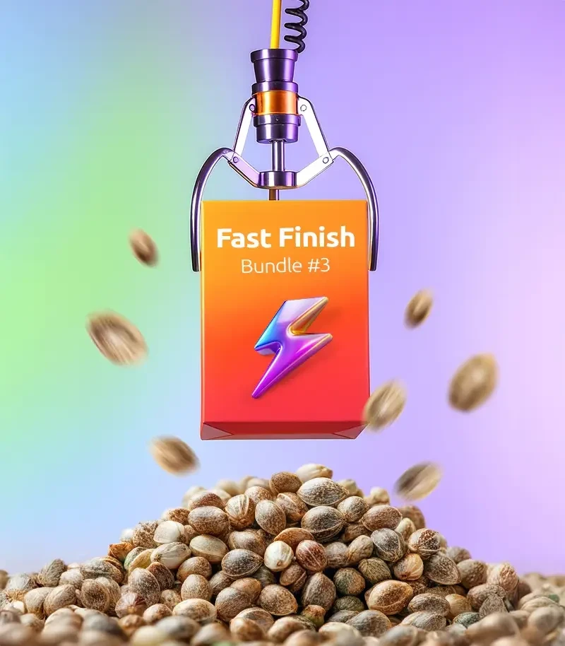 Fast Finish Bundle #3