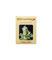 Graines de cannabis Widow 2004 regular (De Sjamaan Seeds)