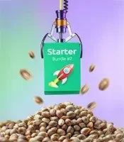 Starter Bundle #2
