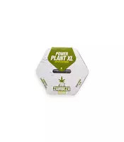 Power Plant XL Auto (Zambeza Seeds)