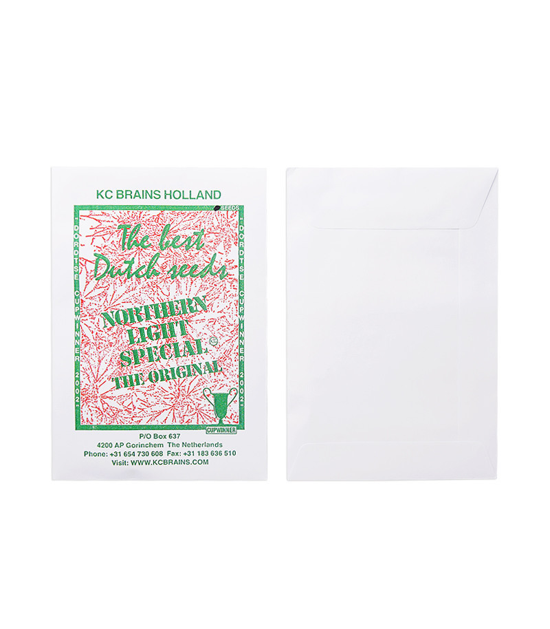 Northern Light Special regular (K.C. Brains Seeds)