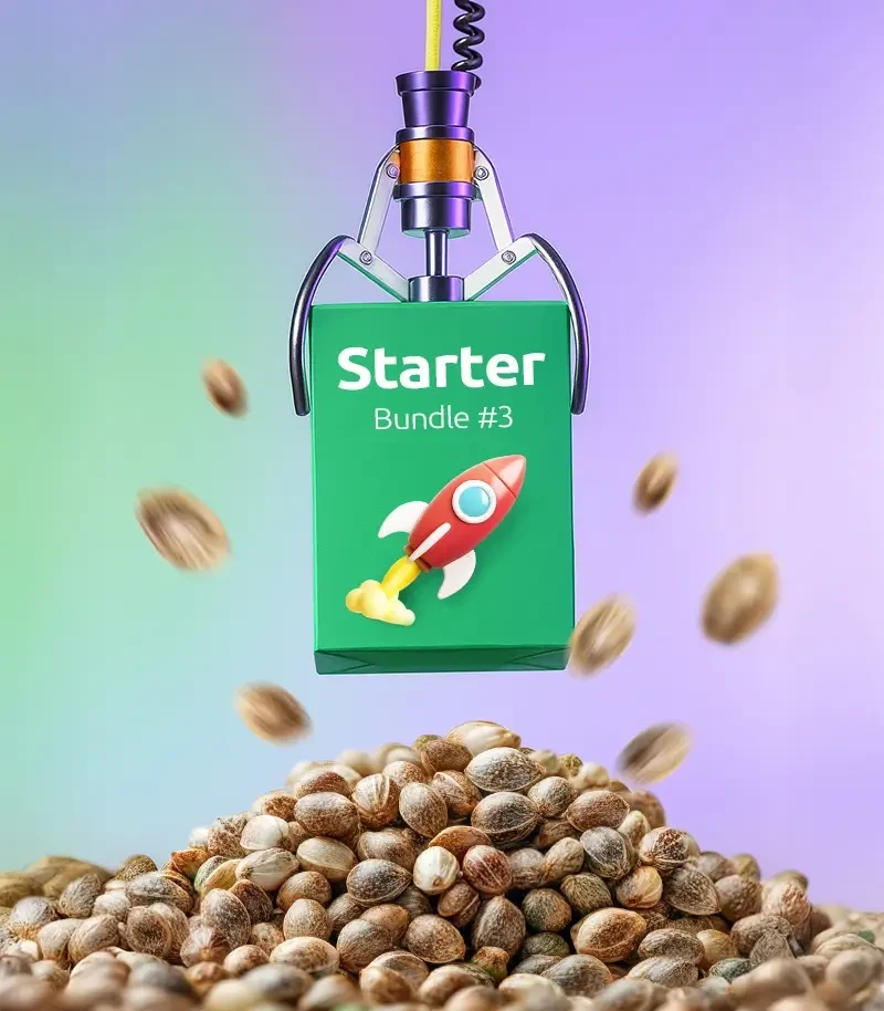 Starter Bundle #3