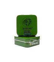 Jack Herer Auto feminized seeds (The Bulldog Seeds)