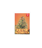 Red Star (Rockwell Seeds)