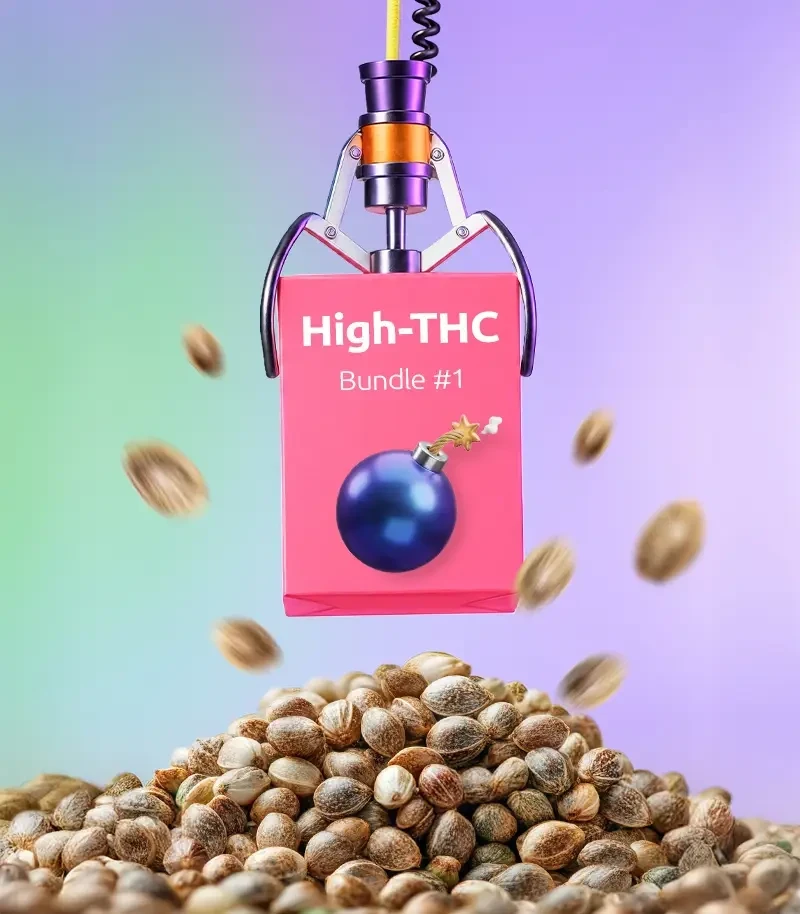 High-THC Bundle #1