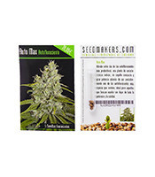 Graines de cannabis Automax (Seedmakers Seeds)