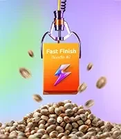 Fast Finish Bundle #2
