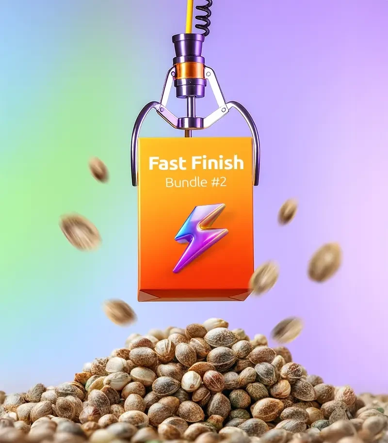 Fast Finish Bundle #2