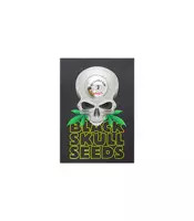 Pineapple Gum (Blackskull Seeds)