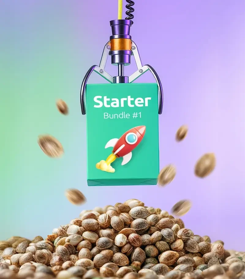 Starter Bundle #1