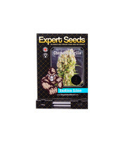 Graines de cannabis Chemdog Gorilla (Expert Seeds)