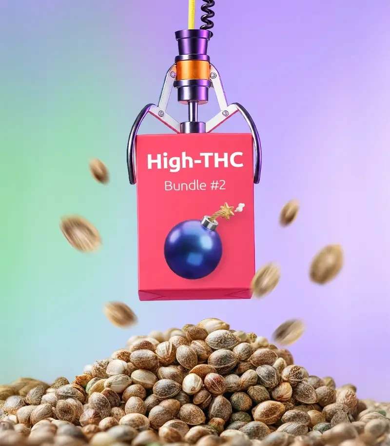 High-THC Bundle #2