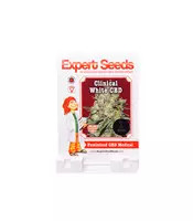 Semi femminizzati Clinical White CBD (Expert Seeds)