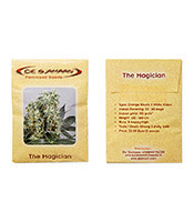 The Magician feminized seeds