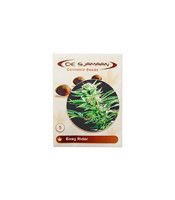 Easy Ryder regular (De Sjamaan Seeds)