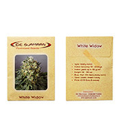 Graines de cannabis White Widow (De Sjamaan Seeds)