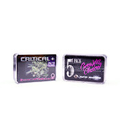 Graines de cannabis Critical+ Auto (Growers Choice)