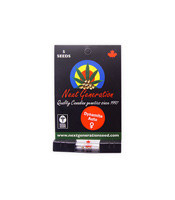 Dynamite Auto feminized seeds