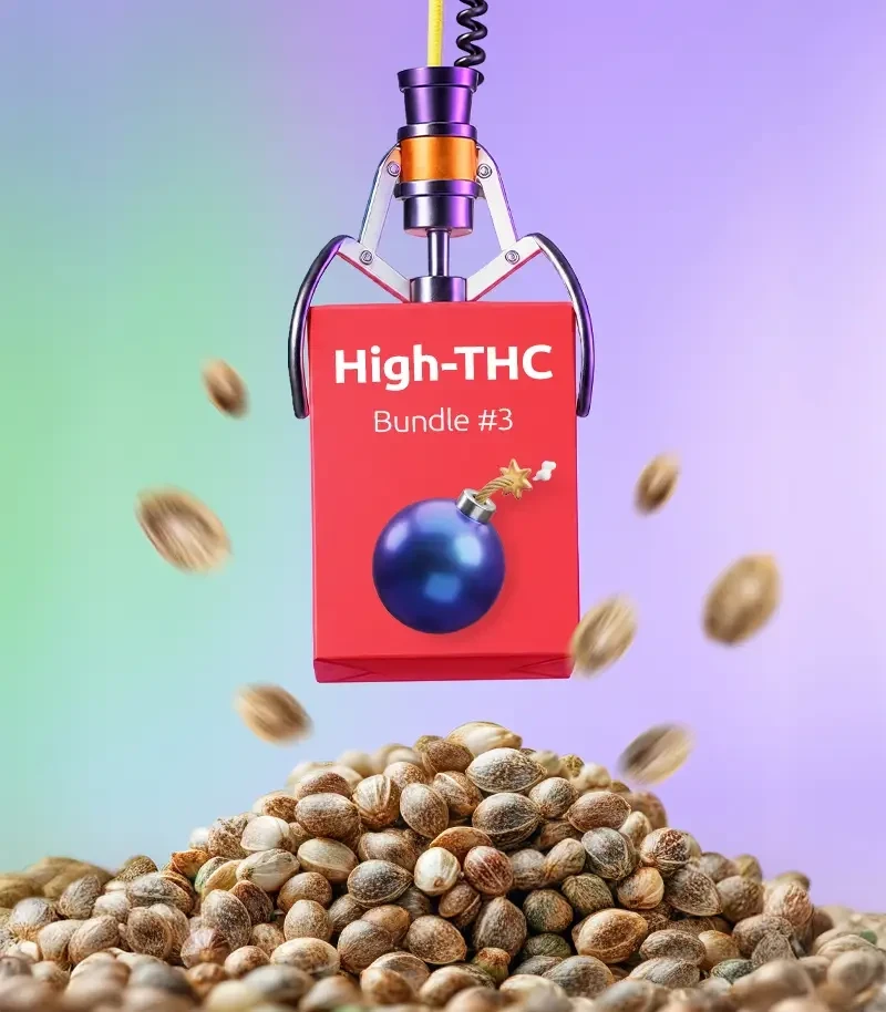 High-THC Bundle #3
