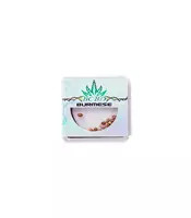 Burmese regular seeds