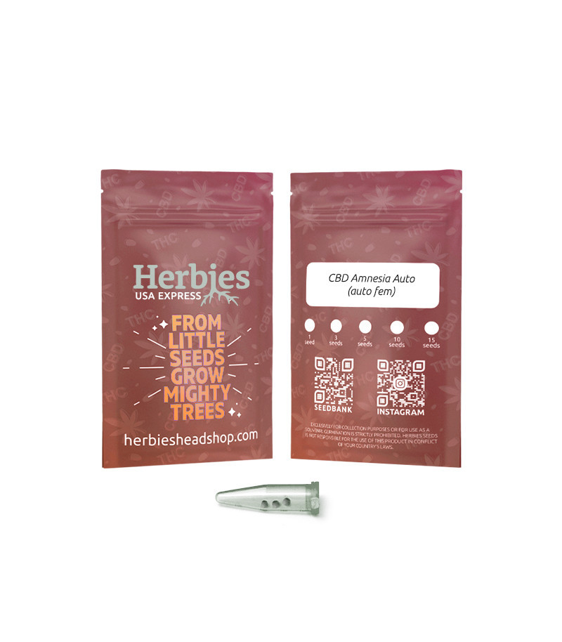 CBD Amnesia Auto Feminized Seeds (Herbies Seeds USA)