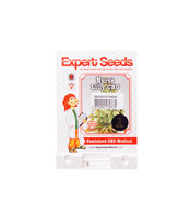 Nurse Lilly CBD (Expert Seeds)