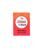 White Widow (Phoenix Seeds)