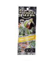 Graines de cannabis Sativa Champions Pack (Paradise Seeds)