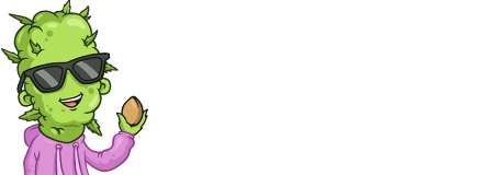Seeds for beginners